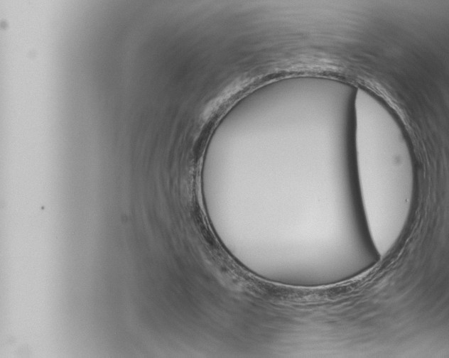 X0000066520675200603170951