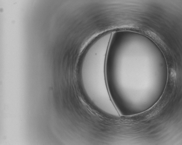 X0000066520676200603170951