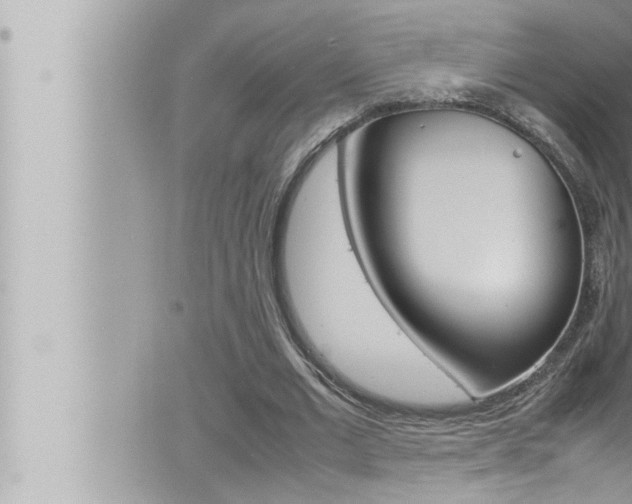 X0000066520677200603170951