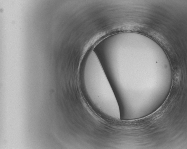 X0000066520678200603170951