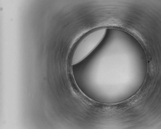 X0000066520680200603170951