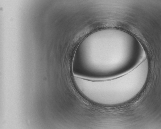 X0000066520681200603170951