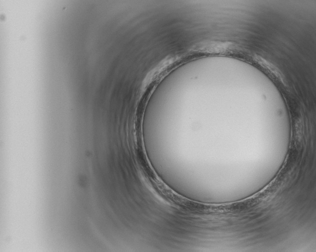 X0000066520682200603170951