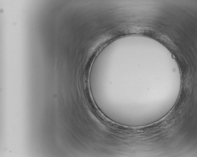 X0000066520683200603170951