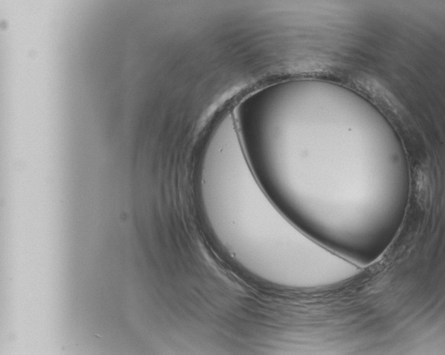 X0000066520684200603170951