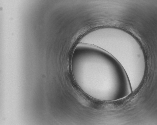 X0000066520685200603170951