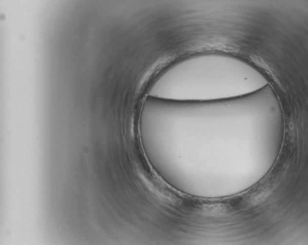 X0000066520686200603170951