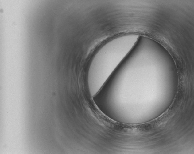 X0000066520688200603170950