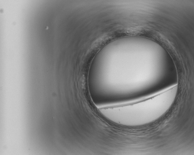 X0000066520689200603170950