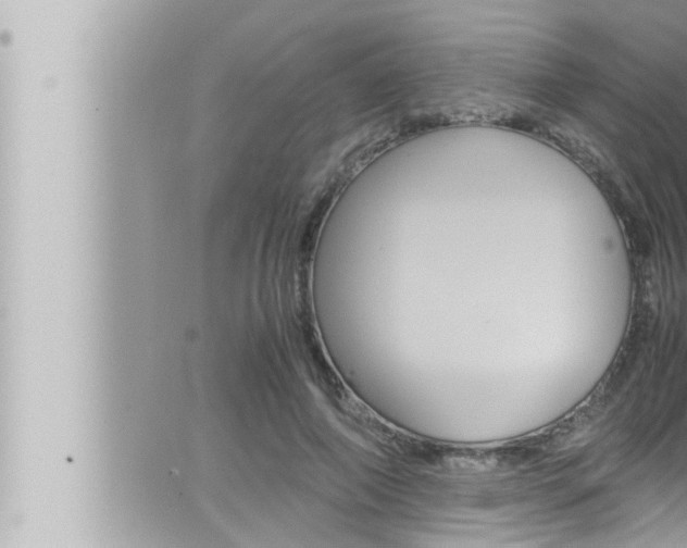 X0000066520690200603170950