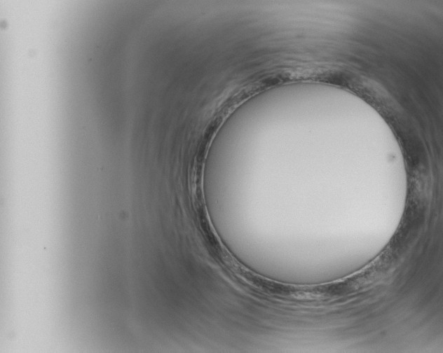 X0000066520691200603170950