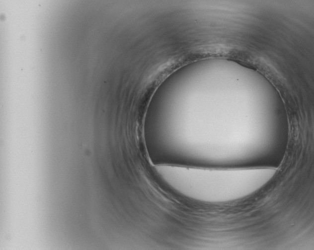 X0000066520692200603170950