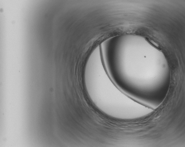 X0000066520693200603170950