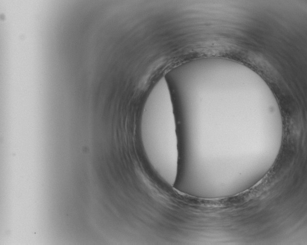 X0000066520694200603170950