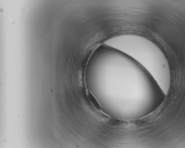 X0000066520696200603170950