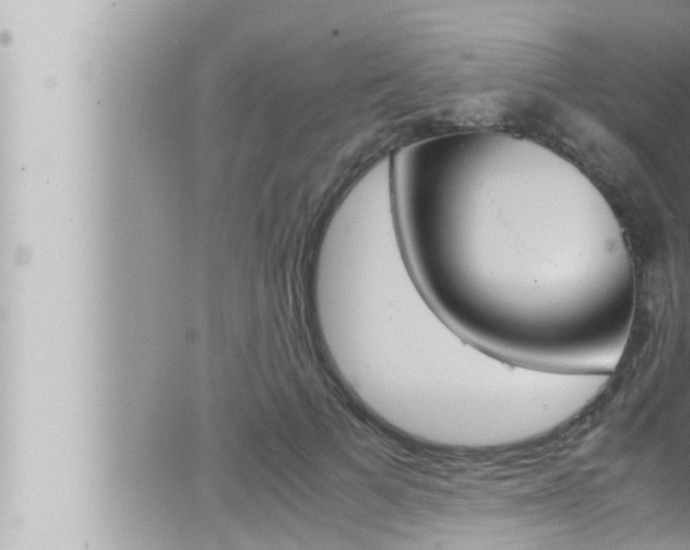 X0000066520697200603170950