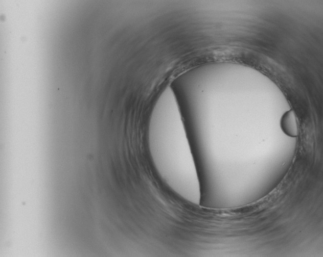 X0000066520698200603170950