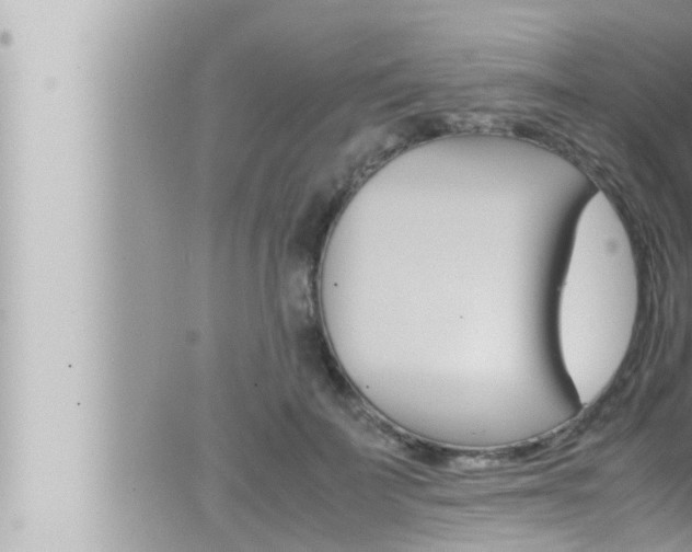 X0000066520699200603170950