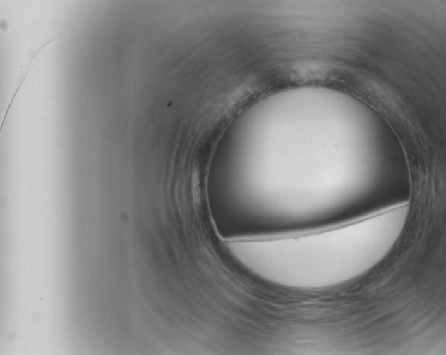 X0000066520700200603170950