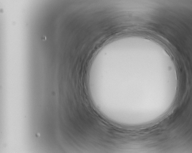 X0000066520701200603170950