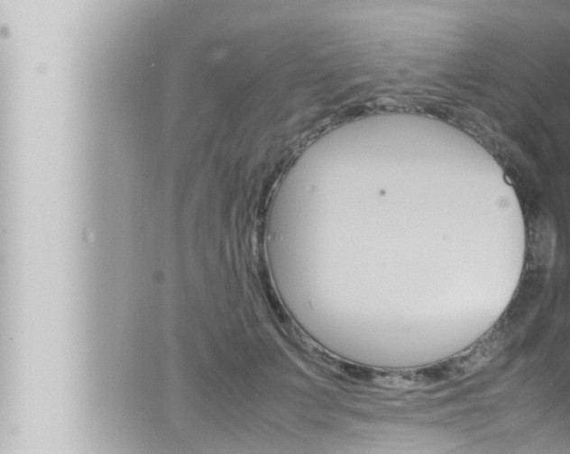 X0000066520703200603170950