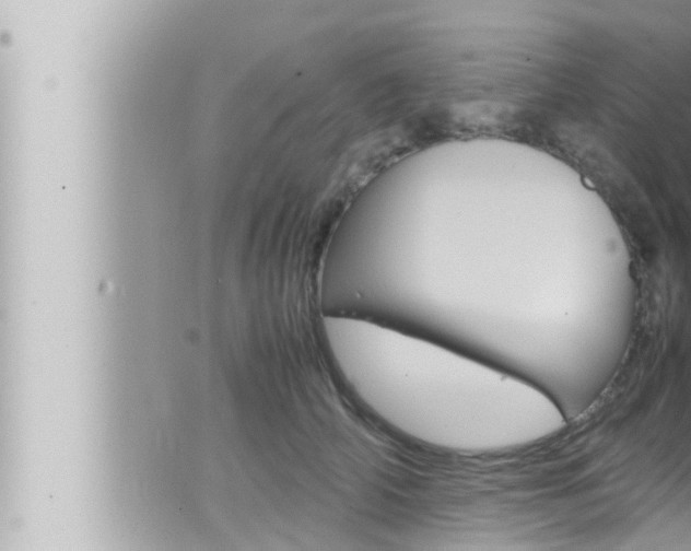 X0000066520706200603170950