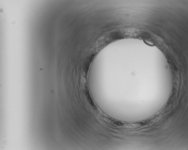 X0000066520707200603170950