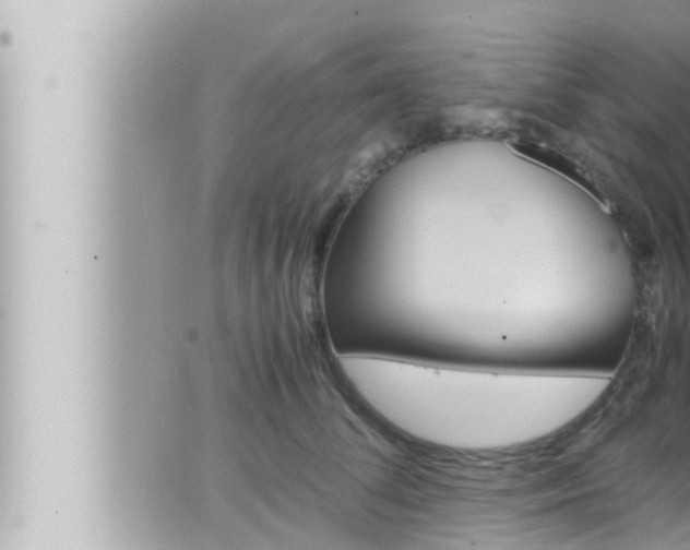 X0000066520708200603170950