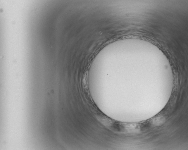 X0000066520709200603170950