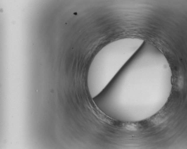 X0000066520710200603170950