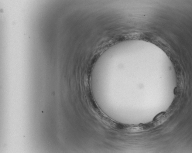 X0000066520711200603170950