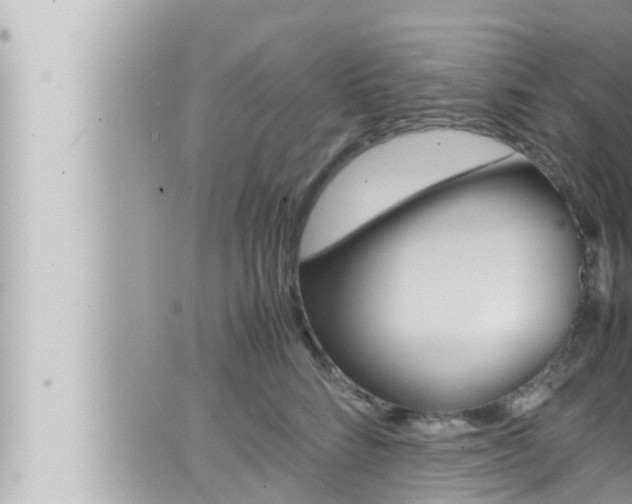 X0000066520712200603170950