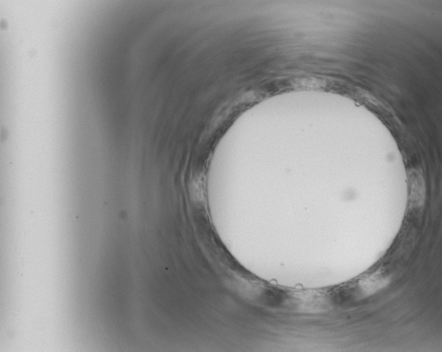 X0000066520713200603170950