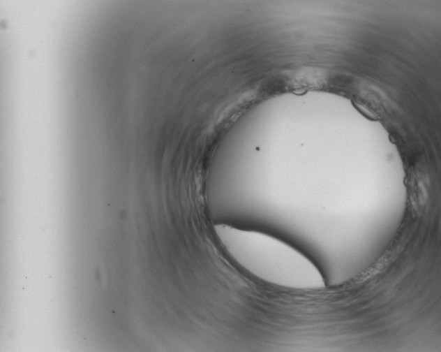 X0000066520714200603170950