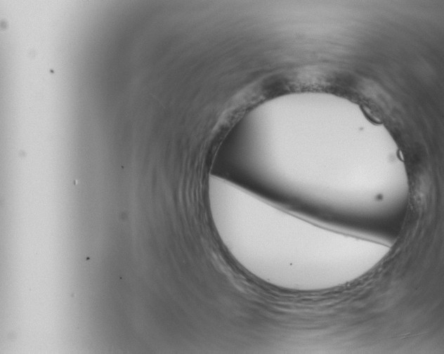 X0000066520715200603170950