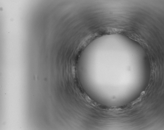 X0000066520716200603170950