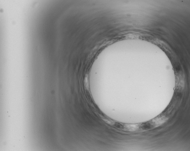 X0000066520717200603170950