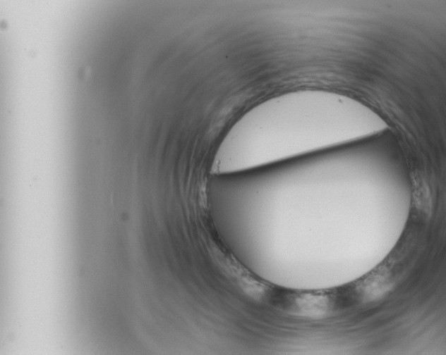 X0000066520718200603170950