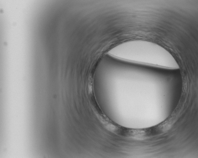 X0000066520719200603170950