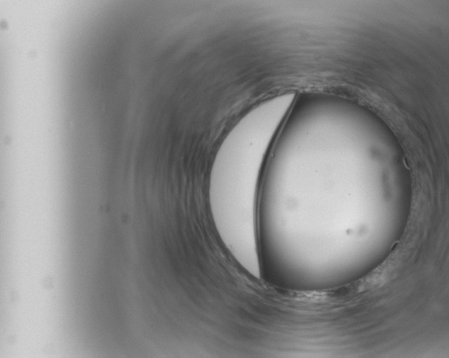 X0000066520720200603170950