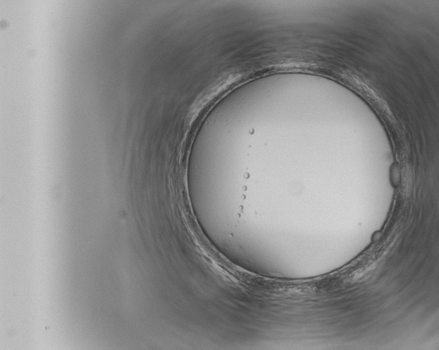 X0000066520721200603170949