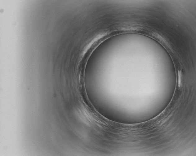 X0000066520723200603170949