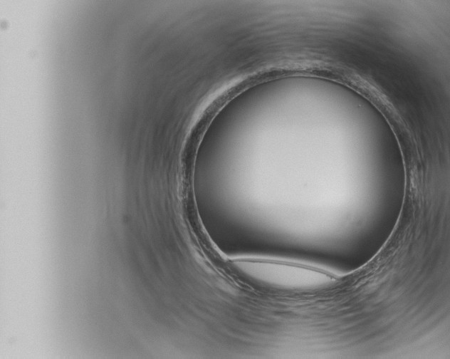 X0000066520724200603170949