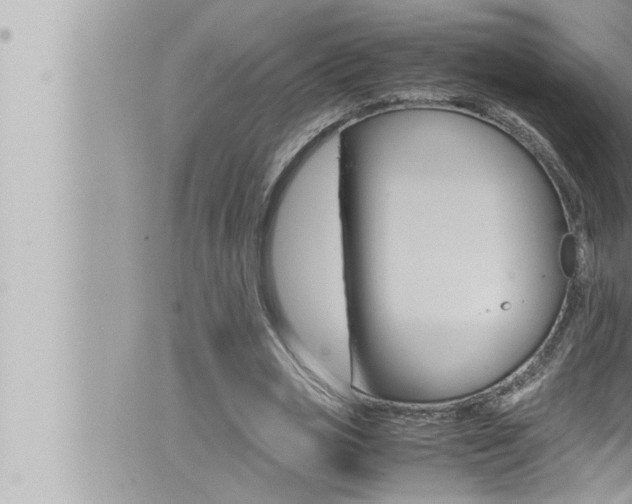 X0000066520725200603170949