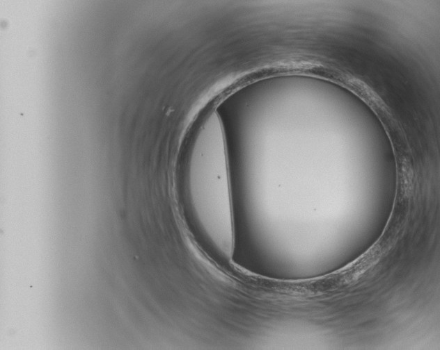 X0000066520726200603170949