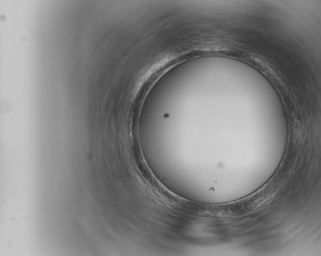 X0000066520727200603170949