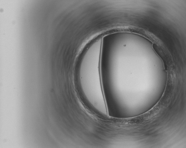 X0000066520728200603170949