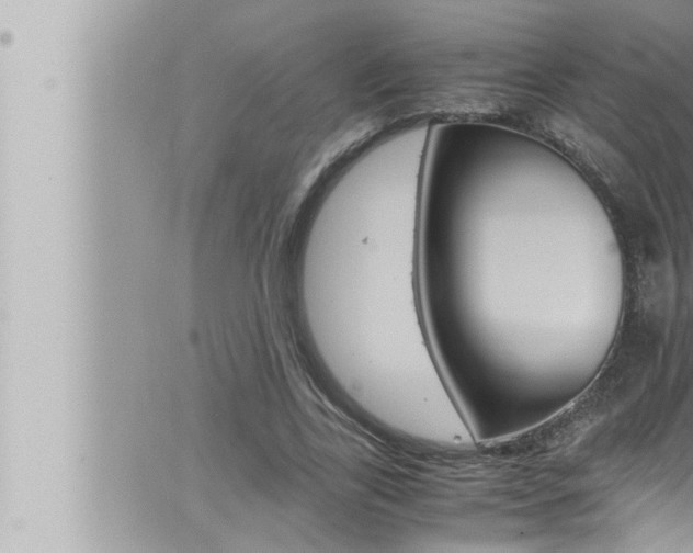 X0000066520731200603170949