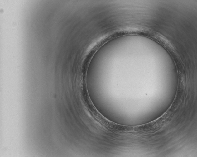 X0000066520732200603170949