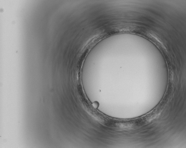 X0000066520733200603170949